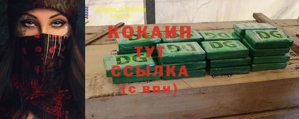 сатива Абаза