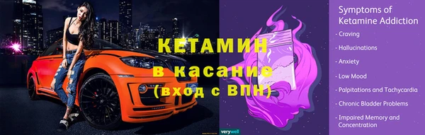 сатива Абаза