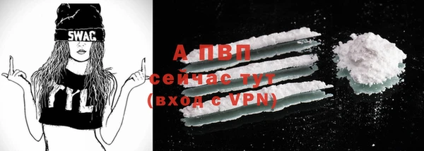гидра Чита