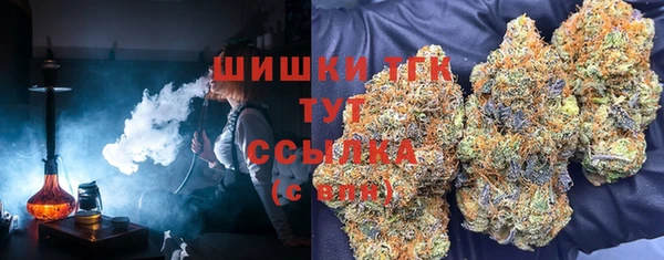 сатива Абаза