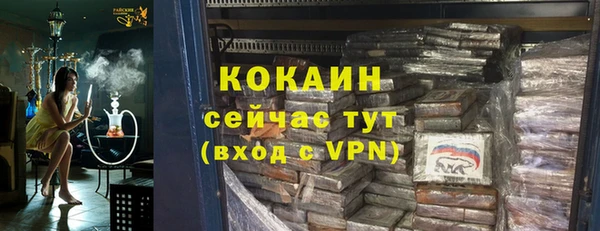 сатива Абаза